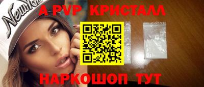 индика Сланцы