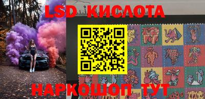 индика Сланцы