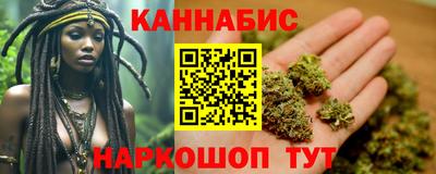 индика Сланцы