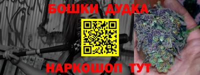 индика Сланцы