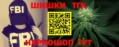 индика Сланцы