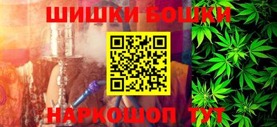 индика Сланцы