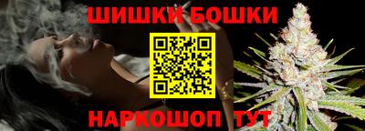 индика Сланцы
