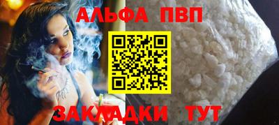 индика Сланцы